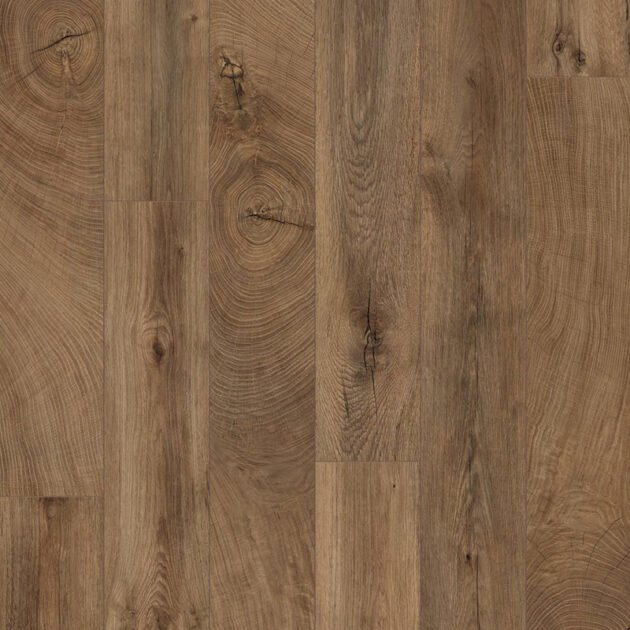 Oak Bark