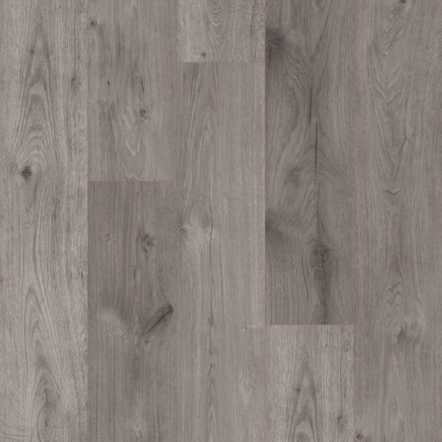 Rovella Ash