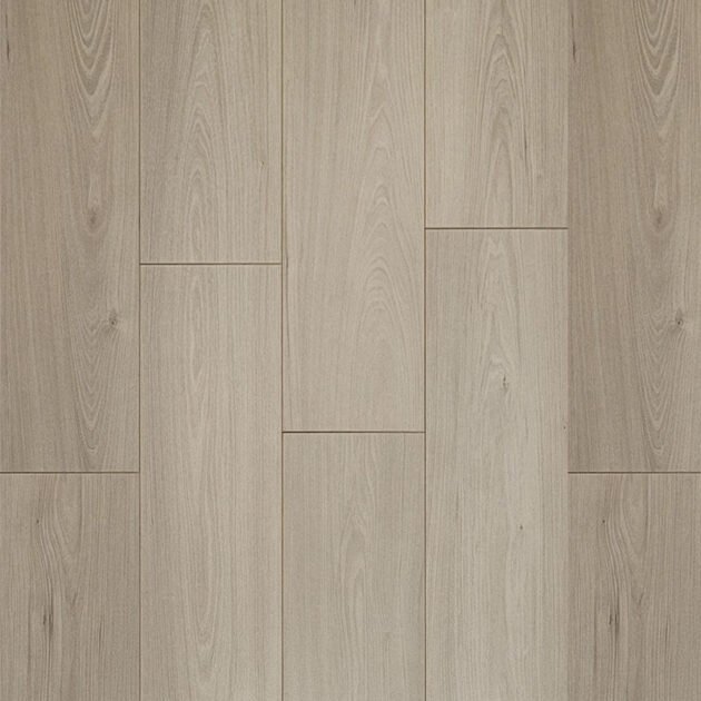 Himalaya Oak