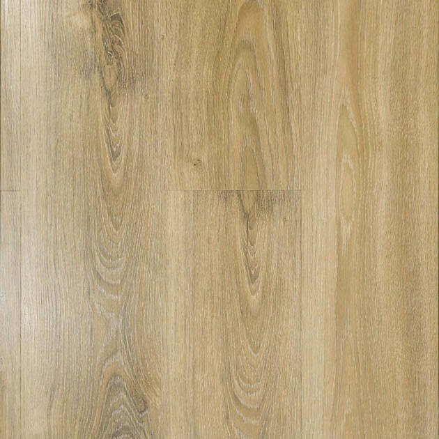 Sierra Oak