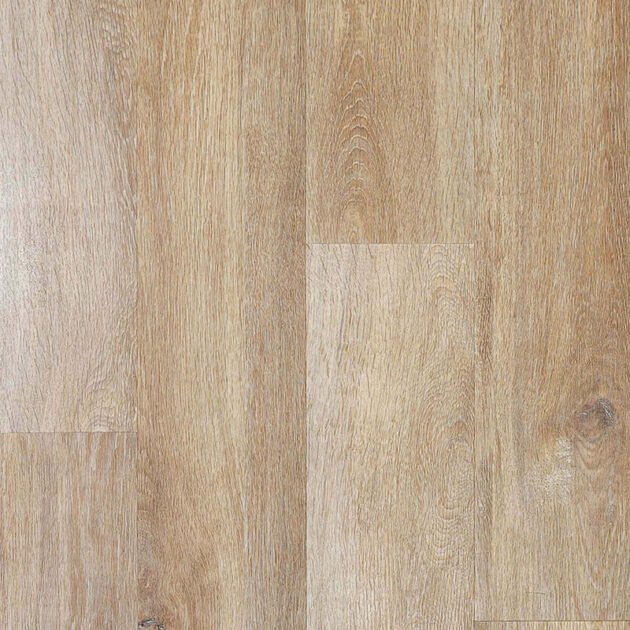 Serbia Oak